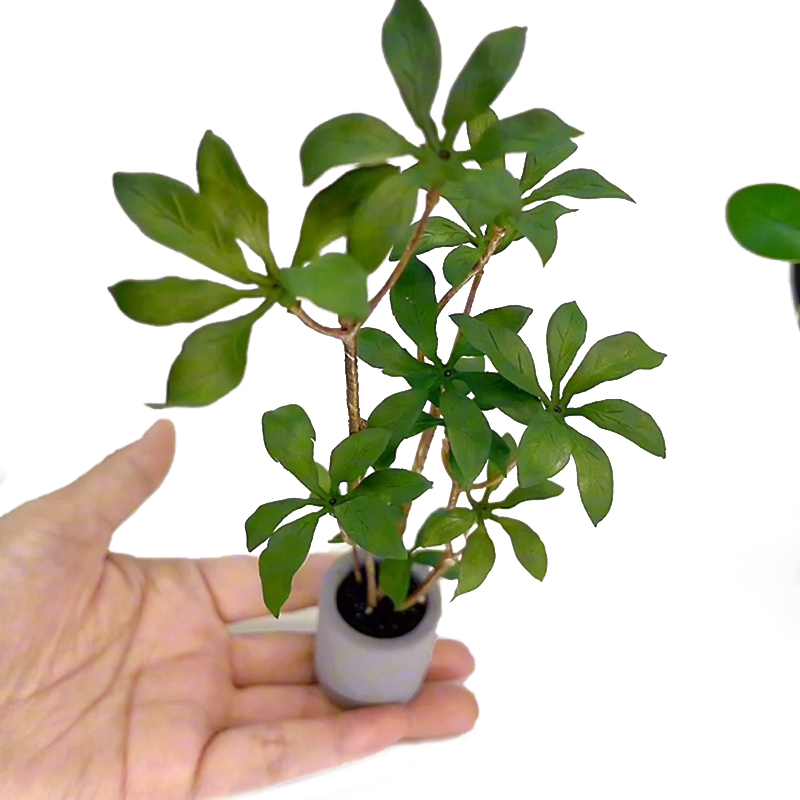 Bonsai Garden Accessories - 1:6 인형의 집 미니어처 화분 모델,