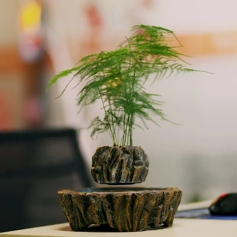 Bonsai Vertical Garden - HCNT 전자기 부상 레진 분재 수직형