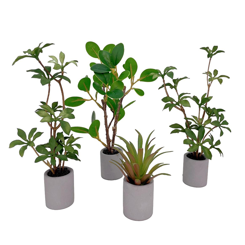 1:6 인형의 집 미니어처 화분 모델, 녹색 잎 식물  - Bonsai Garden Accessories 리뷰 및 가격