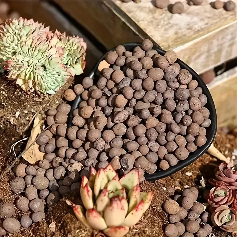 500g/packGarden 수경 확장 점토 조약돌 1 - Sphagnum Moss Bag 리뷰 및 가격