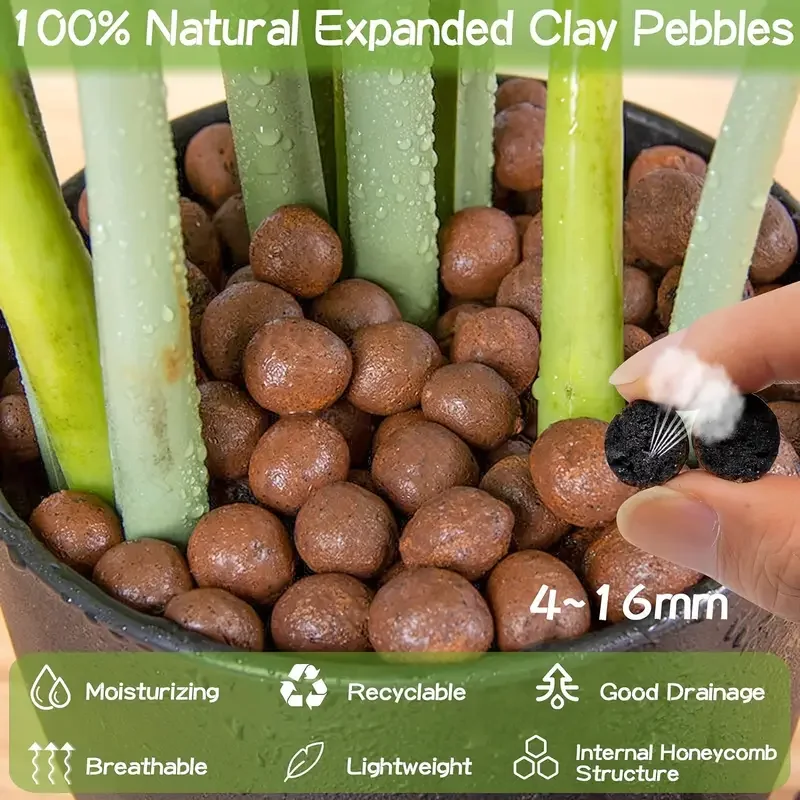 500g/packGarden 수경 확장 점토 조약돌 1 - Sphagnum Moss Bag 리뷰 및 가격