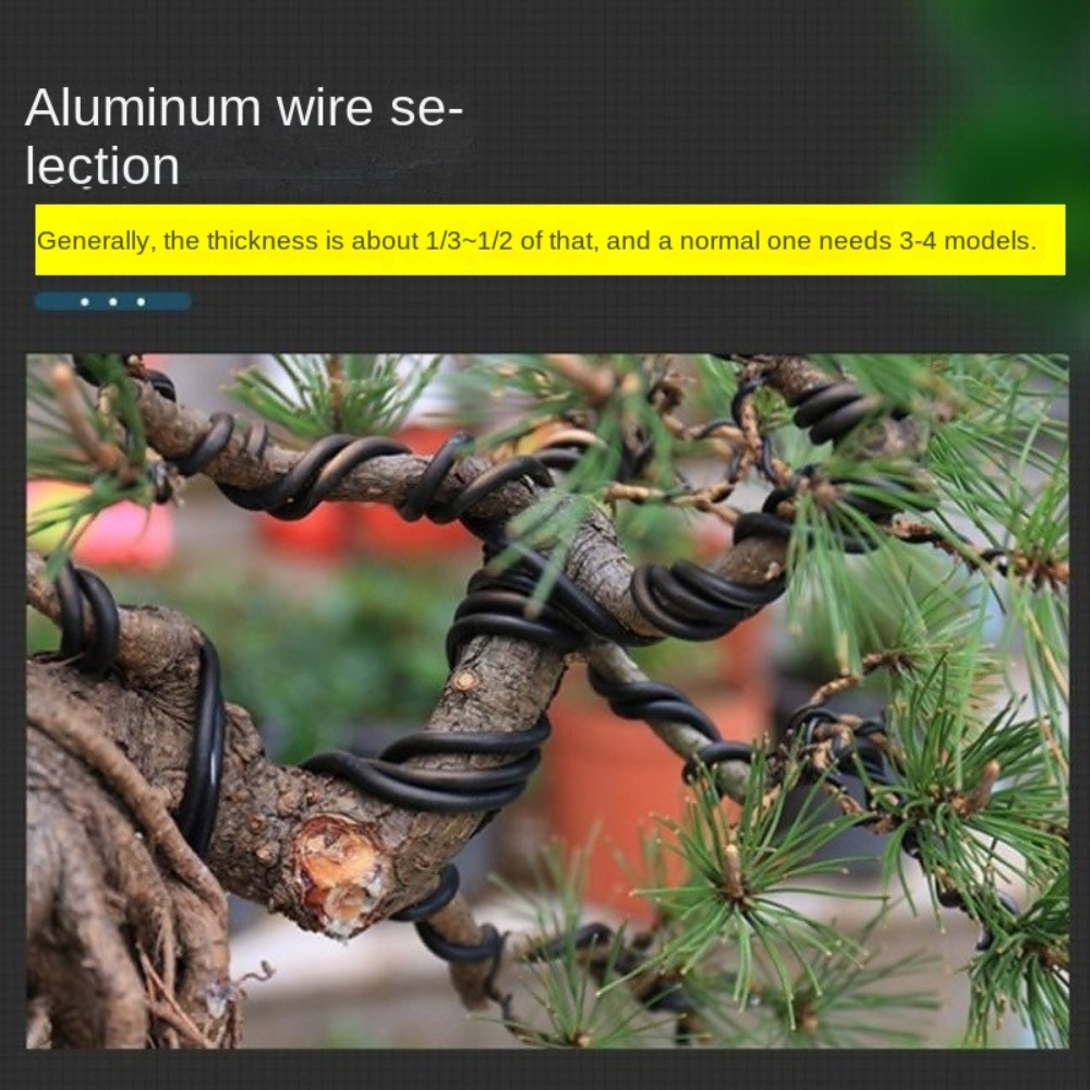 알루미늄 분재 와이어 정원 분재 모양 만들기 1//2/ - Bonsai Garden Accessories 리뷰 및 가격