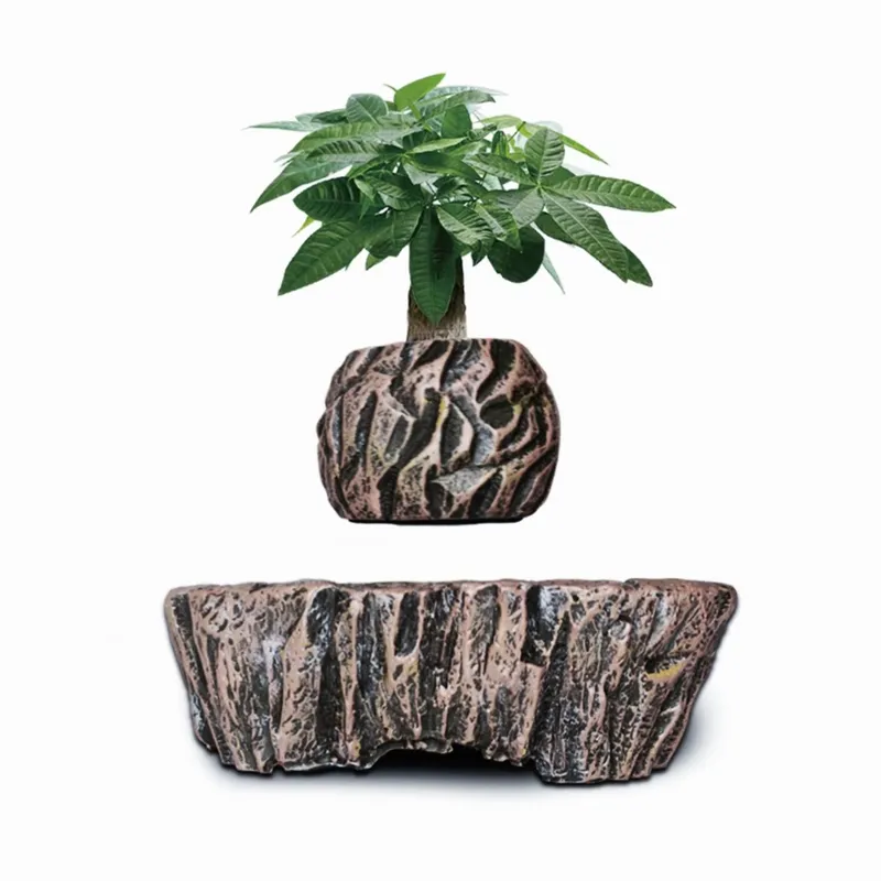 HCNT 전자기 부상 레진 분재 수직형 높이가 있는 정 - Bonsai Vertical Garden 리뷰 및 가격