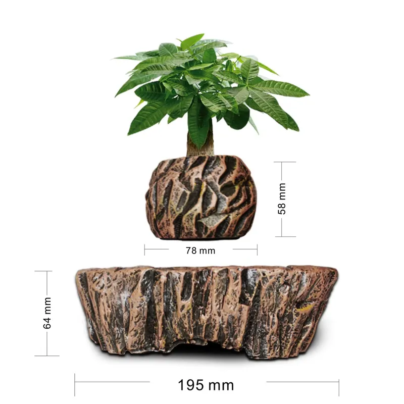 HCNT 전자기 부상 레진 분재 수직형 높이가 있는 정 - Bonsai Vertical Garden 리뷰 및 가격
