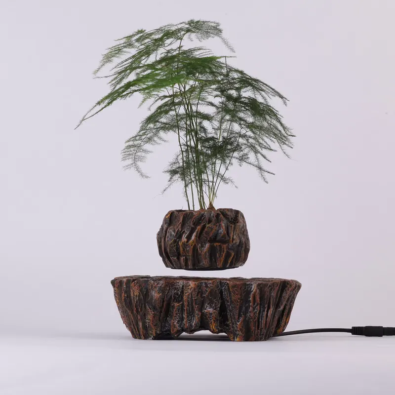 HCNT 전자기 부상 레진 분재 수직형 높이가 있는 정 - Bonsai Vertical Garden 리뷰 및 가격