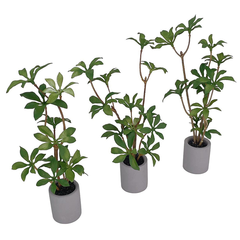 1:6 인형의 집 미니어처 화분, 녹색 잎 식물, 분재 - Bonsai Garden Accessories 리뷰 및 가격