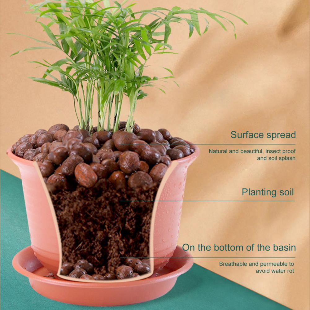 3.3파운드 식물용 점토 조약돌 12-14mm 천연 점 - Sphagnum Moss Bag 리뷰 및 가격