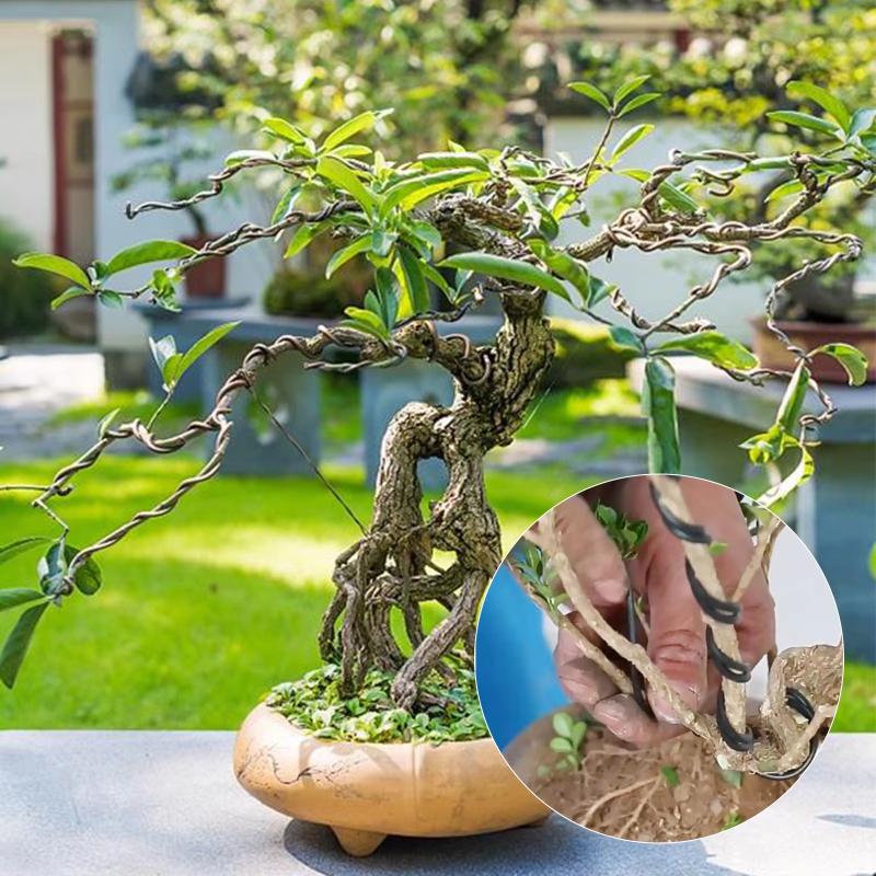10미터 알루미늄 분재 연습용 와이어, 1mm에서 3m - Bonsai Garden Accessories 리뷰 및 가격