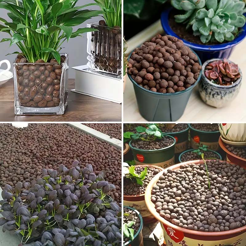 식물용 100/200G 점토 자갈, 식물 배수용 경량  - Sphagnum Moss Bag 리뷰 및 가격