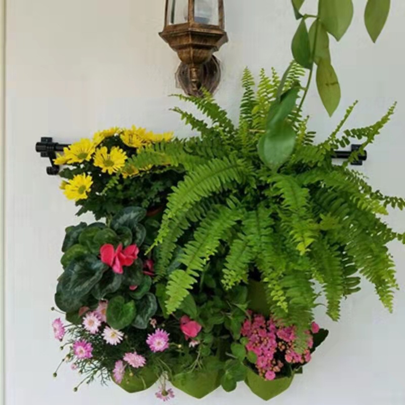 벽 교수형 심기 가방 여러 주머니 성장 가방 화분 수직 - Bonsai Vertical Garden 리뷰 및 가격
