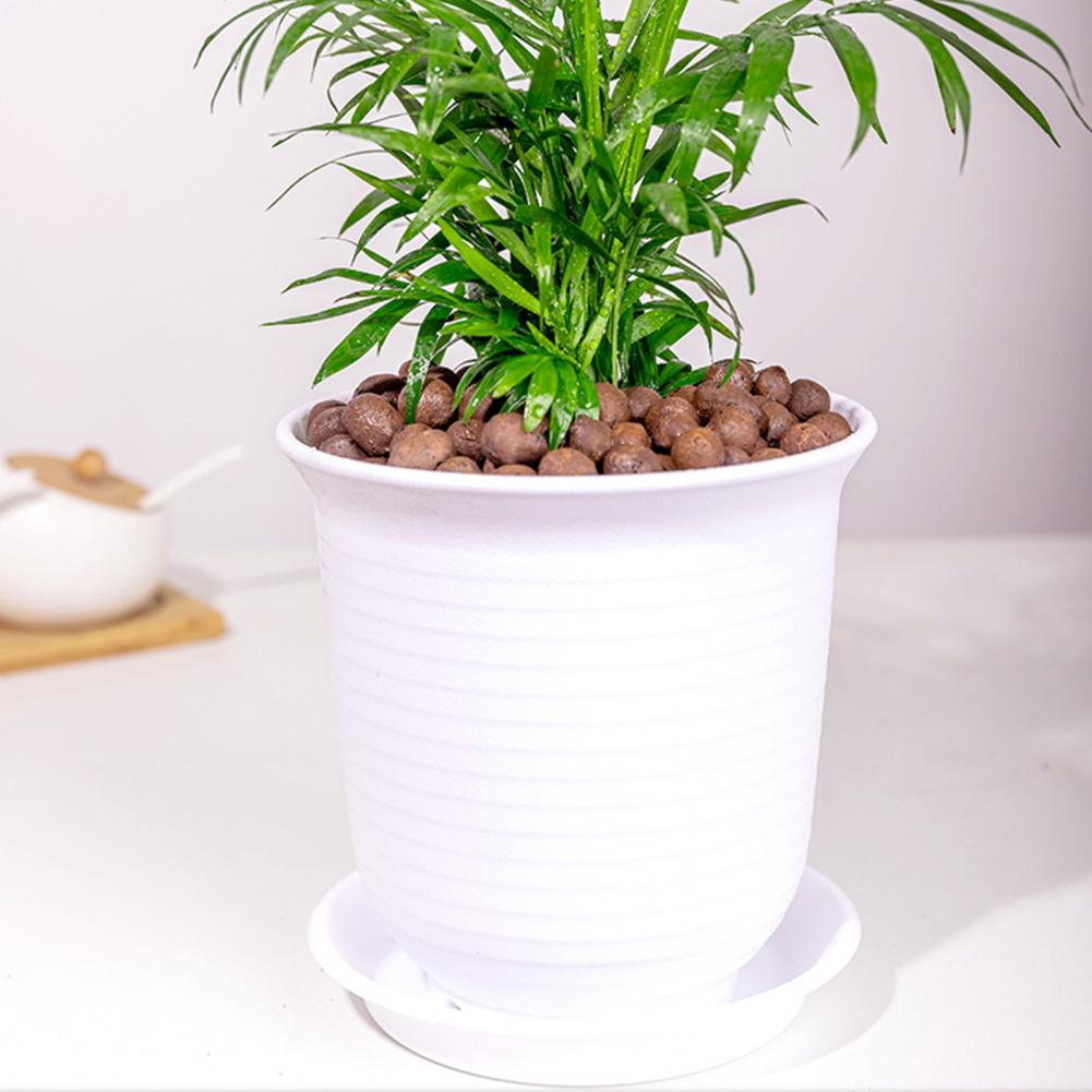 경량 수경재배용 점토볼 3.3파운드 천연 점토볼 식물용 - Sphagnum Moss Bag 리뷰 및 가격