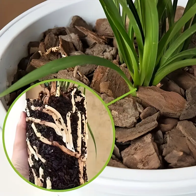 난초 화분용 소나무껍질, 다목적 식물 배지 및 멀칭층, - Sphagnum Moss Bag 리뷰 및 가격