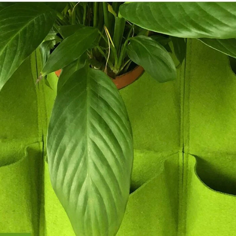 벽걸이 식물 재배 가방 다중 포켓 재배 가방 수직 정원 - Bonsai Vertical Garden 리뷰 및 가격