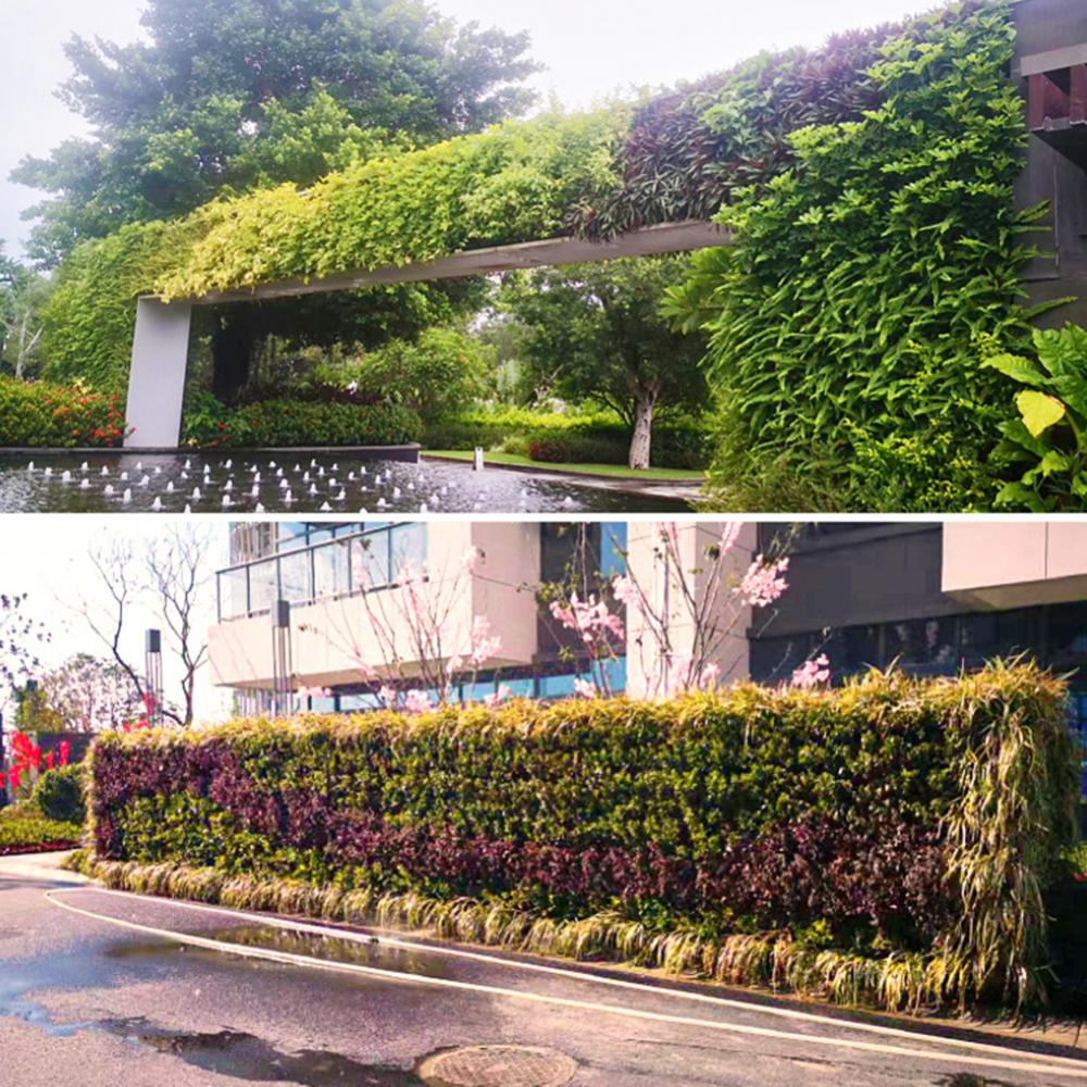 벽 마운트 숲 상자 멀티 구멍 꽃 식물 냄비 컨테이너  - Bonsai Vertical Garden 리뷰 및 가격